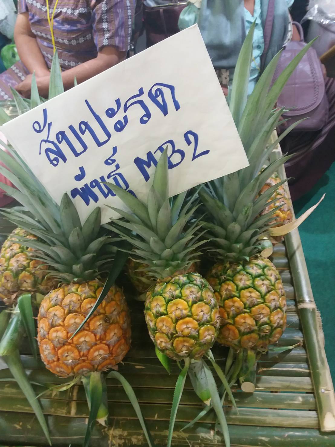 29 มิถุนายน 2561 จัดงาน “ตลาดนัดสัมมาชีพ OTOP ภาคตะวันออก ท่องเที่ยววิถีไทย”