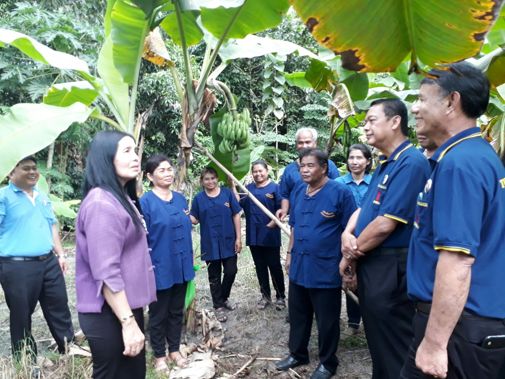 6 มิถุนายน 2561 ดร.อัจฉราวรรณ มณีขัติย์ ผู้ตรวจราชการกรมการพัฒนาชุมชน ได้มาประเมินศูนย์จัดการกองทุนชุมชนดีเด่น จ.ระยอง