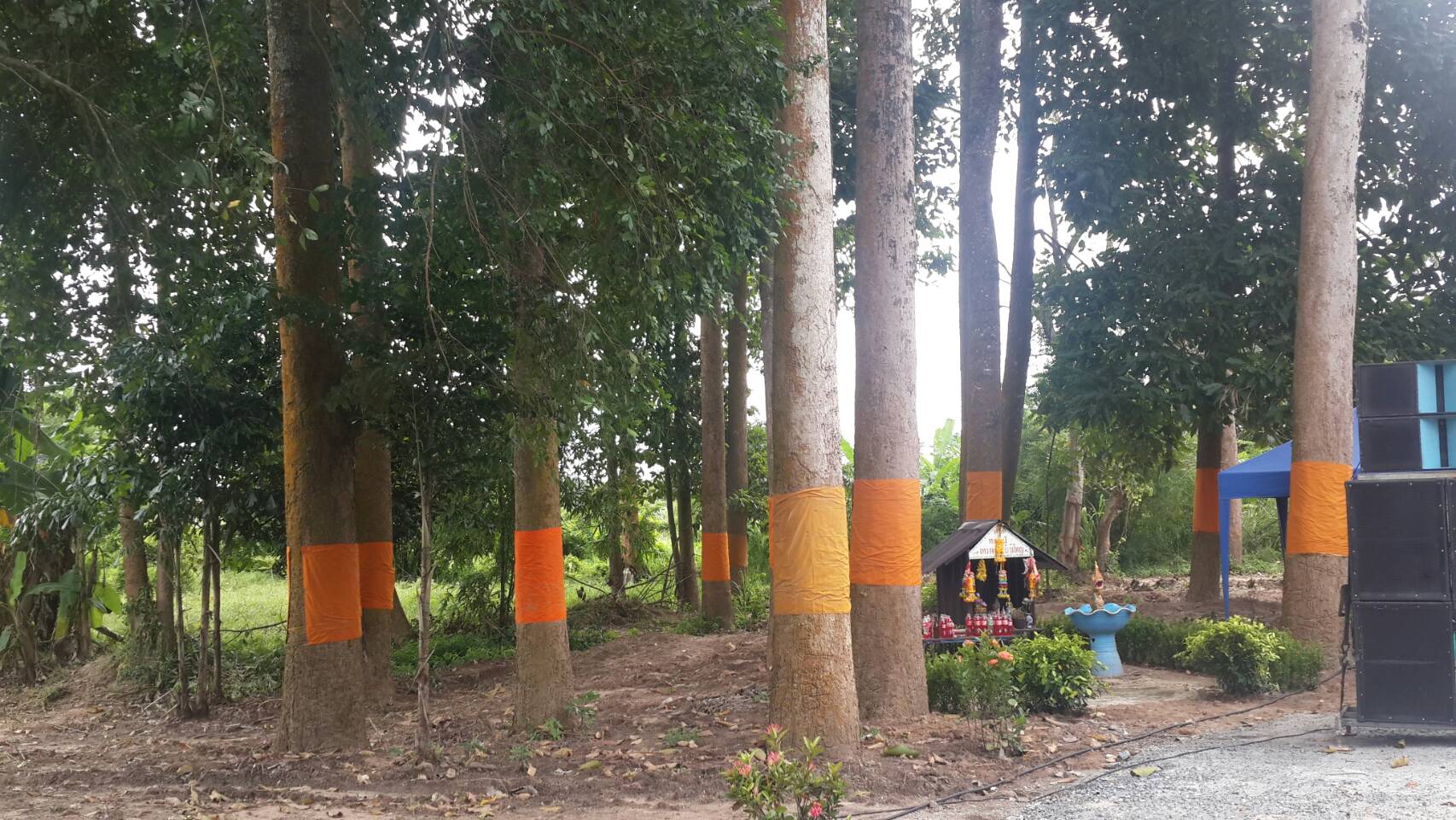 18 กันยายน 2561 เปิดชุมชนท่องเที่ยว OTOP นวัตวิถี บ้านทับตอง ม.6 ต.ปลวกแดง อ.ปลวกแดง จ.ระยอง