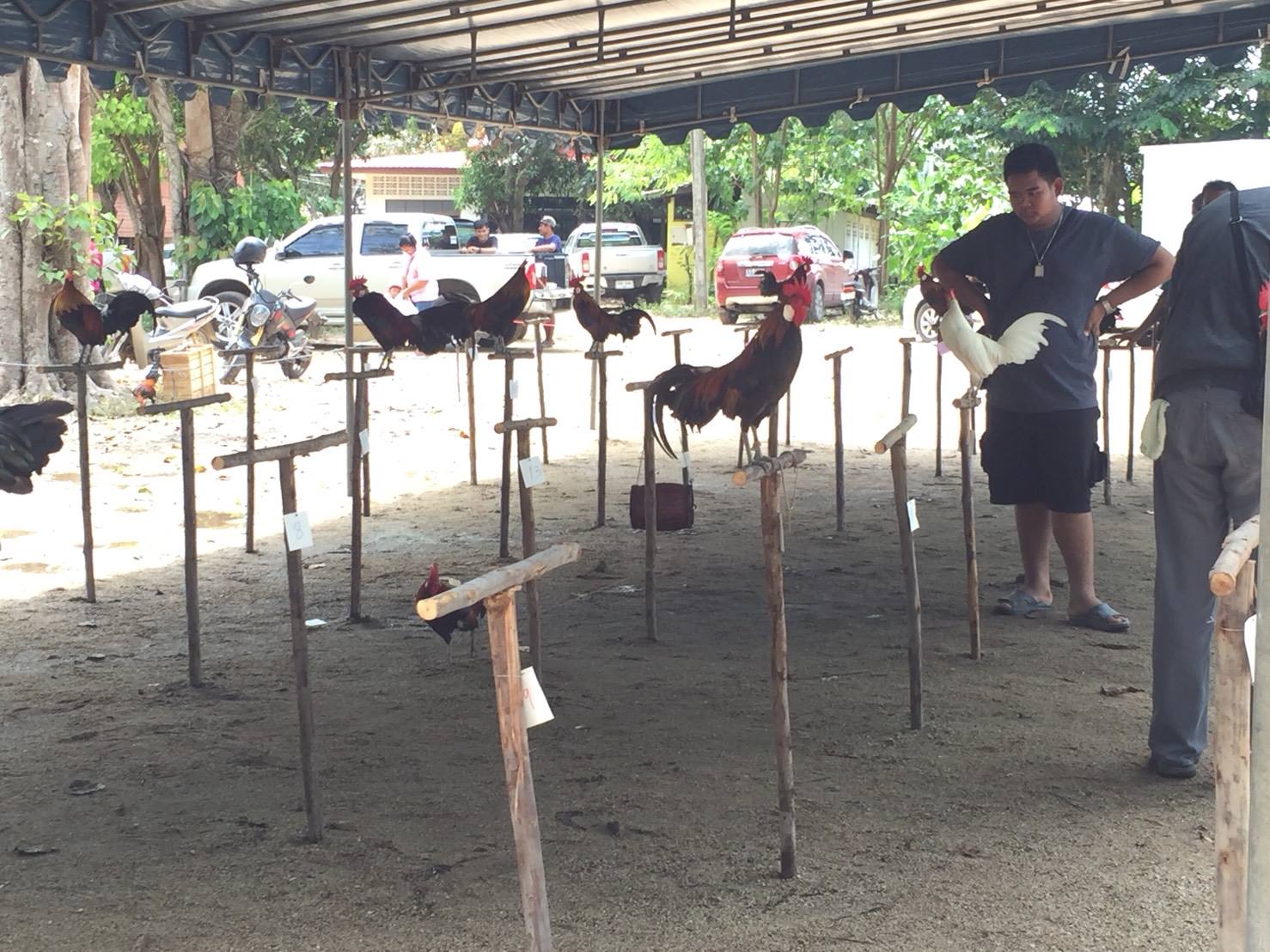 20 กันยายน 2561 เปิดชุมชนท่องเที่ยว OTOP นวัตวิถี บ้านกระเฉทล่าง ม.1 ต.มาบข่า อ.นิคมพัฒนา จ.ระยอง