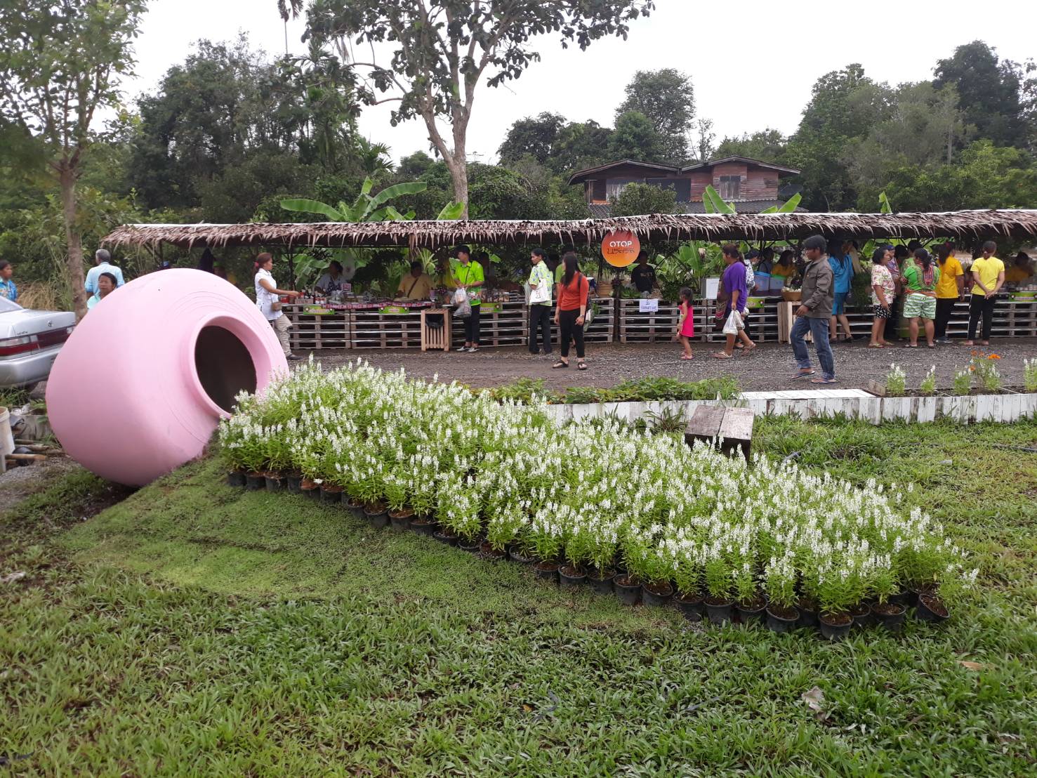 19 กันยายน 2561 เปิดชุมชนท่องเที่ยว OTOP นวัตวิถี บ้านชากมันเทศ ม.4 ต.แม่น้ำคู้ อ.ปลวกแดง จ.ระยอง