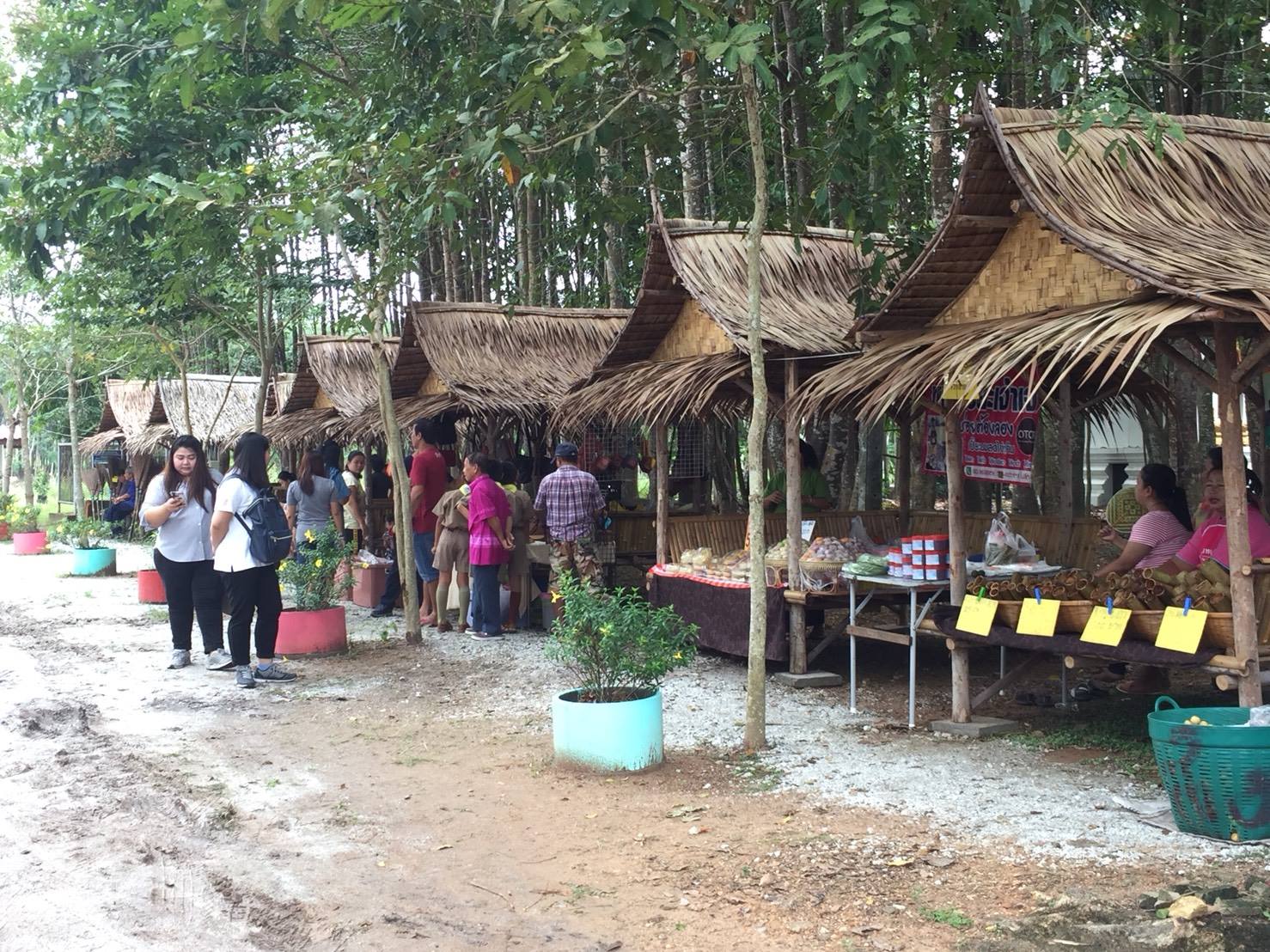 20 กันยายน 2561 เปิดชุมชนท่องเที่ยว OTOP นวัตวิถี บ้านกระเฉทล่าง ม.1 ต.มาบข่า อ.นิคมพัฒนา จ.ระยอง