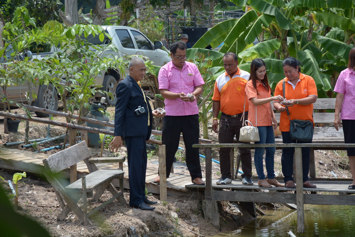 20 กันยายน 2561 เปิดชุมชนท่องเที่ยว OTOP นวัตวิถี บ้านพัฒนาผัง 2 ม.6 ต.แม่น้ำคู้ อ.ปลวกแดง จ.ระยอง