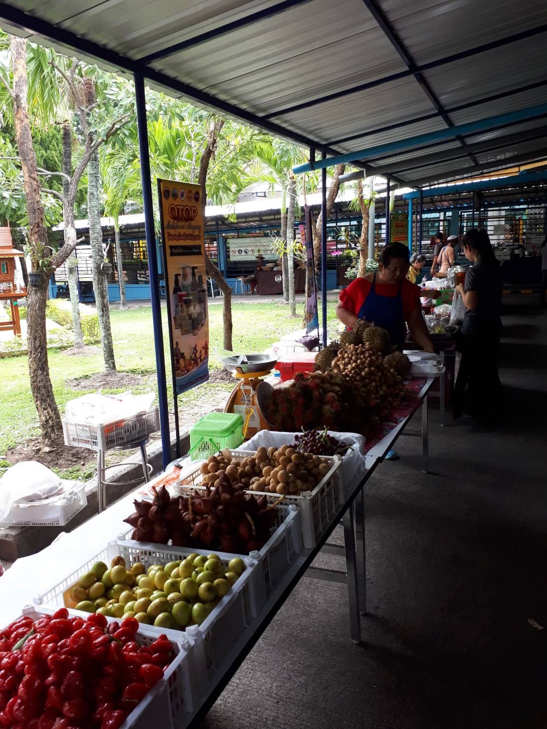 OTOP Mobile ประจำเดือนกันยายน 2562