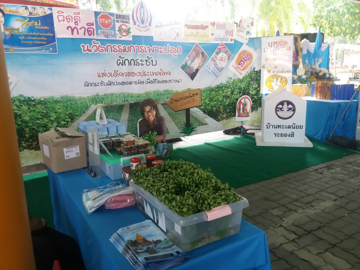 พิธีมอบเงินขวัญถุงกองทุนแม่ของแผ่นดิน และพิธีทอดผ้าป่าสมทบกองทุนแม่ของแผ่นดิน จังหวัดระยอง ประจำปี 2562