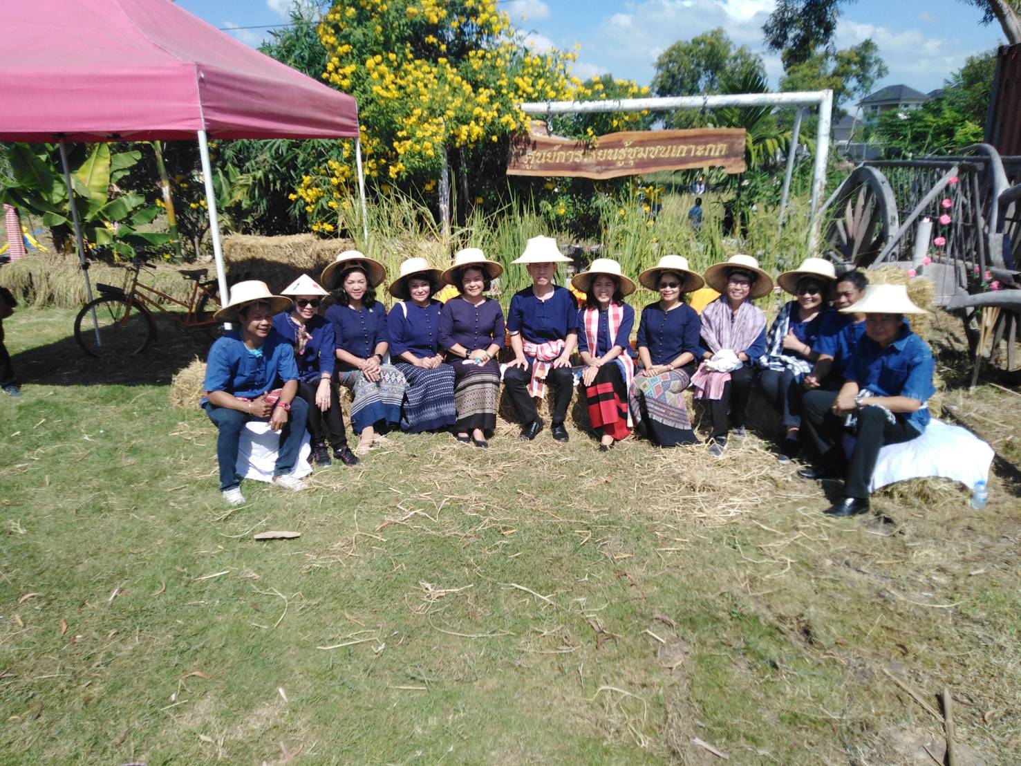 ประเพณีลงแขกเกี่ยวข้าวชุมชนเกาะกก สู่การท่องเที่ยวชุมชน