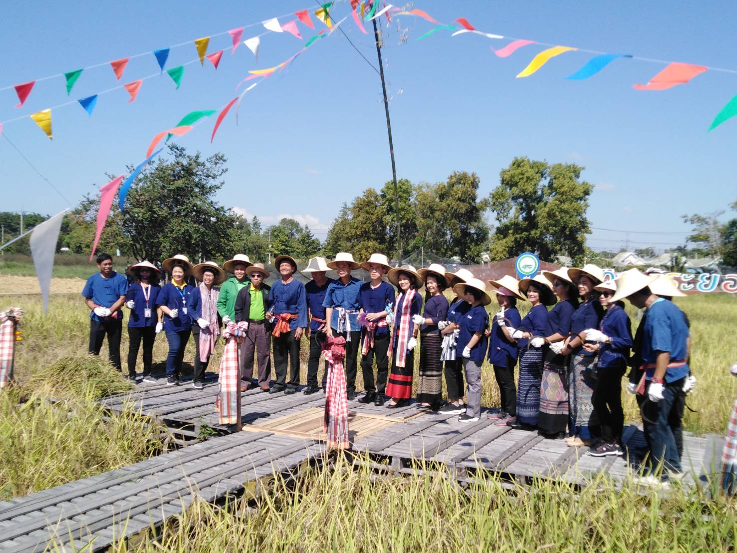 ประเพณีลงแขกเกี่ยวข้าวชุมชนเกาะกก สู่การท่องเที่ยวชุมชน