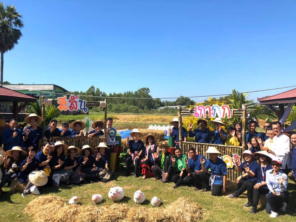 ประเพณีลงแขกเกี่ยวข้าวชุมชนเกาะกก สู่การท่องเที่ยวชุมชน