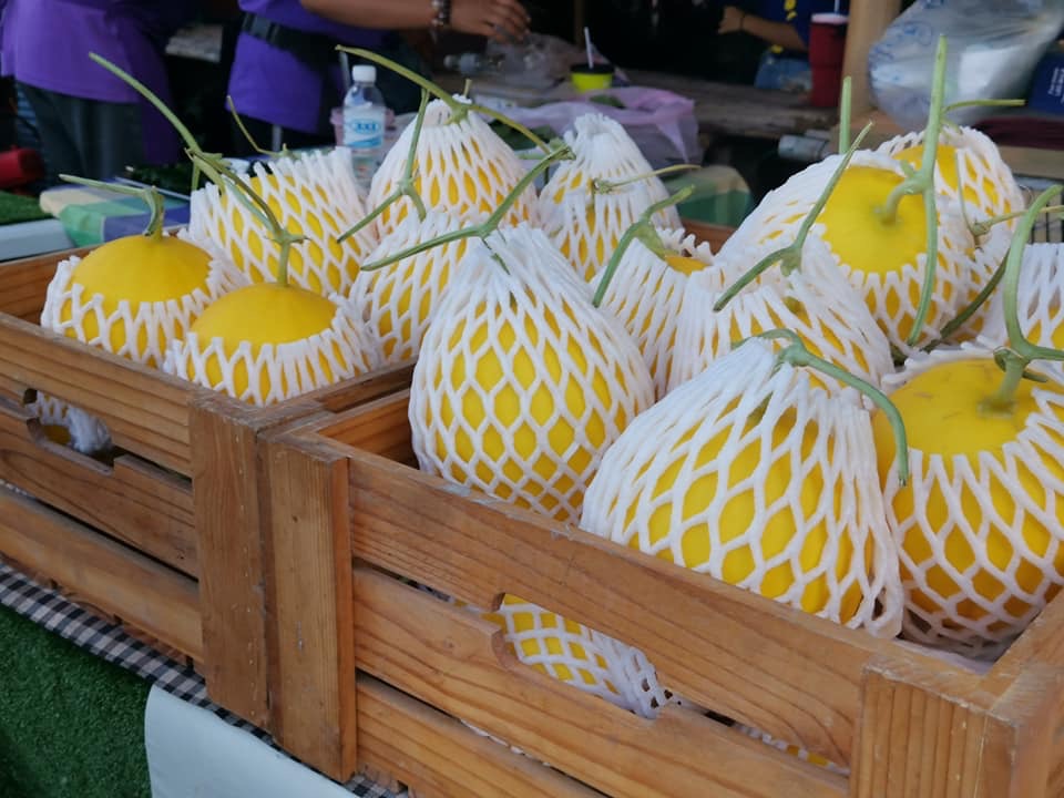 จังหวัดระยอง จัดยิ่งใหญ่ พิธีเปิด (Kick Off) กิจกรรม “เดิน กิน ชิม เที่ยว ถนนยมจินดา จังหวัดระยอง” และ “ชุมชนน้ำดี” ครั้งที่ 2