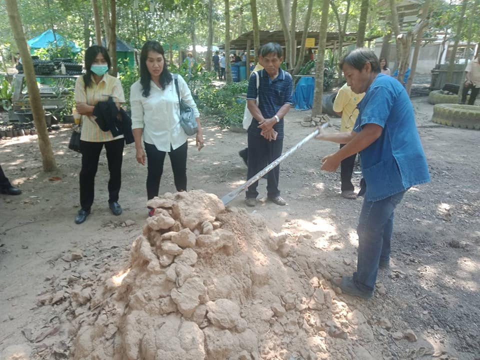 “พช.ระยอง นำแกนนำพัฒนาหมู่บ้านเศรษฐกิจพอเพียง ศึกษาดูงานเศรษฐกิจพอเพียง”