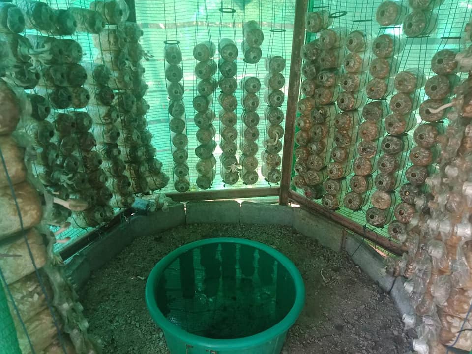 “พช.ระยอง นำแกนนำพัฒนาหมู่บ้านเศรษฐกิจพอเพียง ศึกษาดูงานเศรษฐกิจพอเพียง”