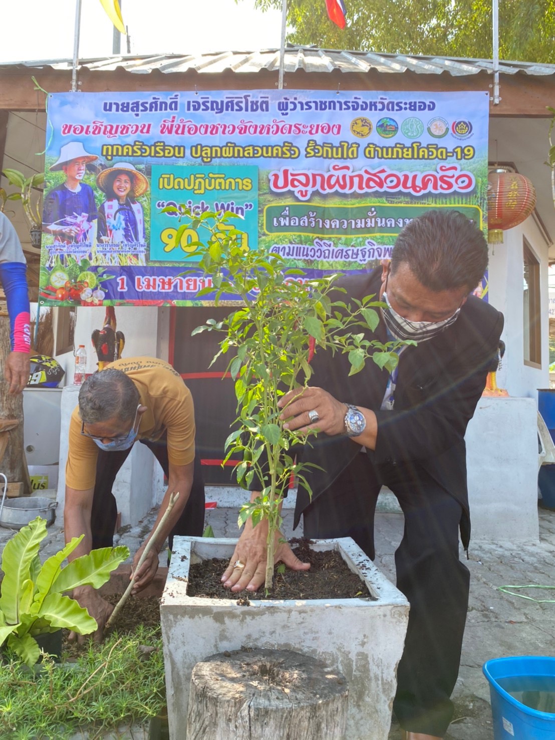 พช.ระยอง ช่วยกันเอามื้อลงมือเอาแรง ปลูกผักสวนครัว เพื่อสร้างความมั่นคงทางอาหาร บริเวณบ้านพักท่านนายอำเภอบ้านค่าย