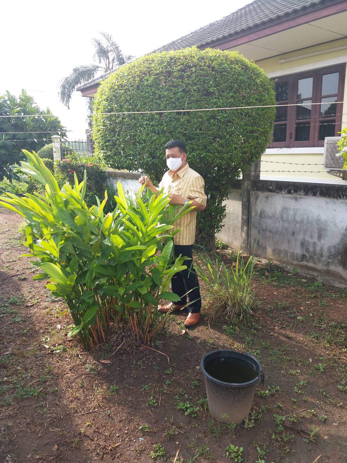 “พช.ระยอง สำรวจพื้นที่ปลูกผักสวนครัวบ้านท่านรองผู้ว่าราชการจังหวัดระยอง…เตรียมความพร้อมกิจกรรมผู้นำต้องทำก่อน…ตามโครงการ ปลูกผักสวนครัว สร้างความมั่นคงทางอาหาร”