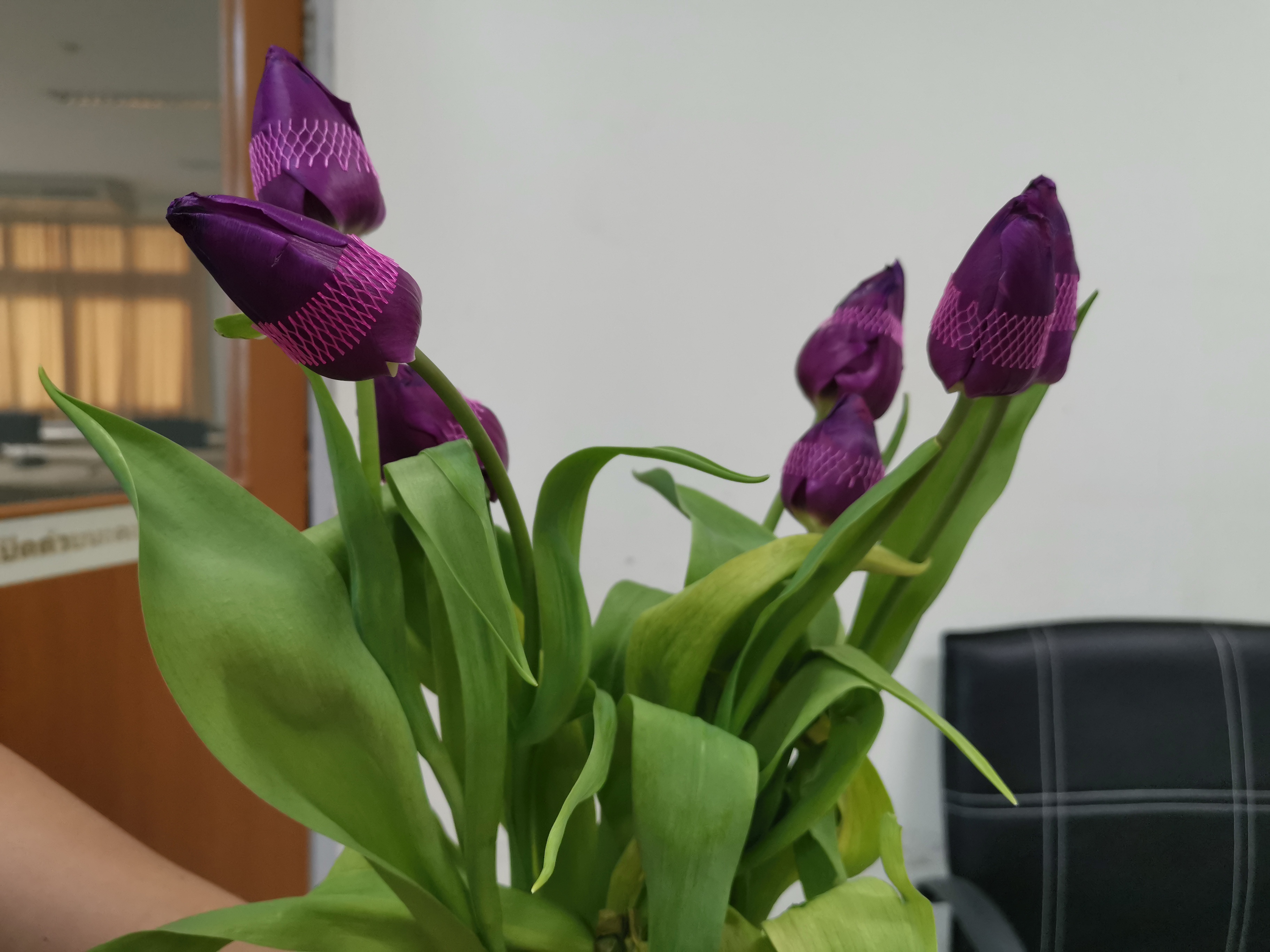 “ผู้ว่าฯ ระยอง พร้อมด้วยนายกเหล่ากาชาดจังหวัดระยอง มอบดอกทิวลิป ให้พัฒนาการจังหวัดระยอง เพื่อประชาสัมพันธ์การจัดจำหน่ายดอกทิวลิป นำรายได้ ช่วยเหลือครอบครัวผู้ได้รับผลกระทบจากโรคติดเชื้อไวรัสโคโรน่า 2019 (COVID-19)”