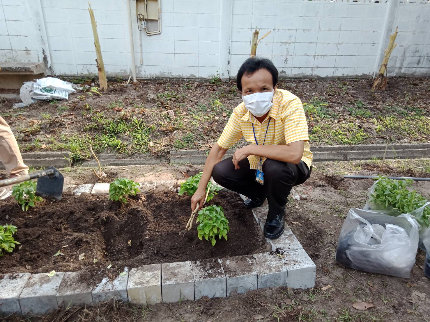 “เหล่ากาชาดจังหวัดระยอง Kick off  ปฏิบัติการ “ปลูกผักสวนครัว เพื่อความมั่นคงทางอาหาร” สู้ภัยทุกวิกฤต …พอเพียงตามรอยพ่อ”