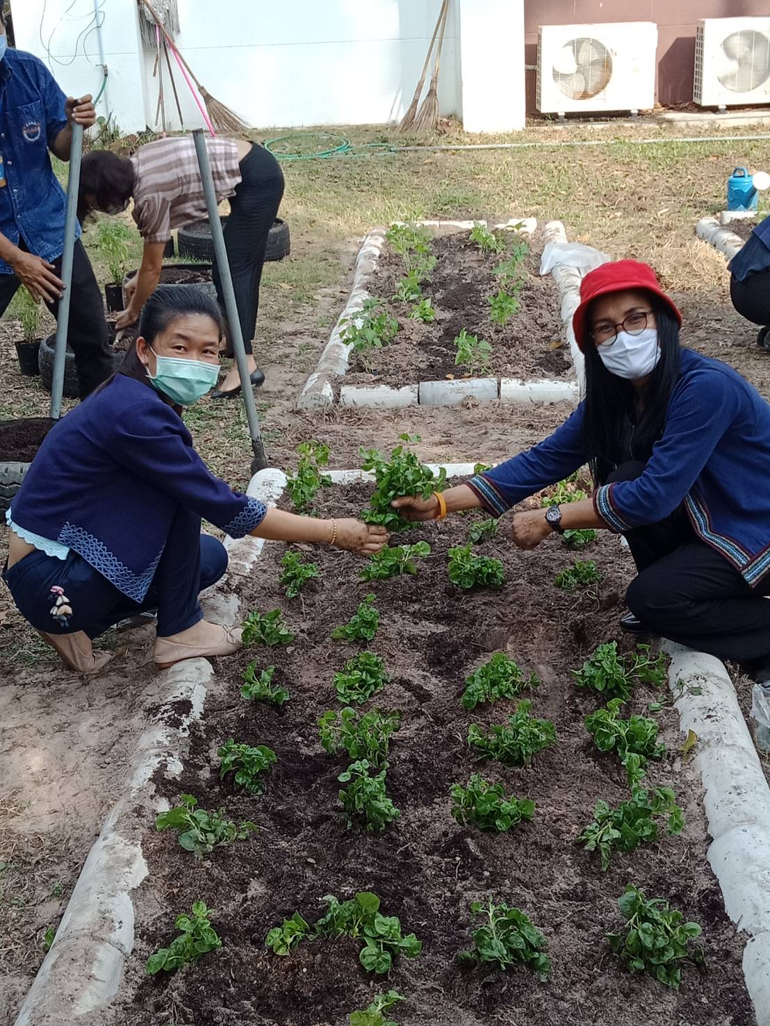 “เหล่ากาชาดจังหวัดระยอง Kick off  ปฏิบัติการ “ปลูกผักสวนครัว เพื่อความมั่นคงทางอาหาร” สู้ภัยทุกวิกฤต …พอเพียงตามรอยพ่อ”