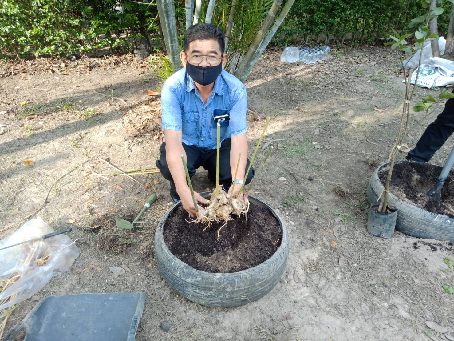 “เหล่ากาชาดจังหวัดระยอง Kick off  ปฏิบัติการ “ปลูกผักสวนครัว เพื่อความมั่นคงทางอาหาร” สู้ภัยทุกวิกฤต …พอเพียงตามรอยพ่อ”