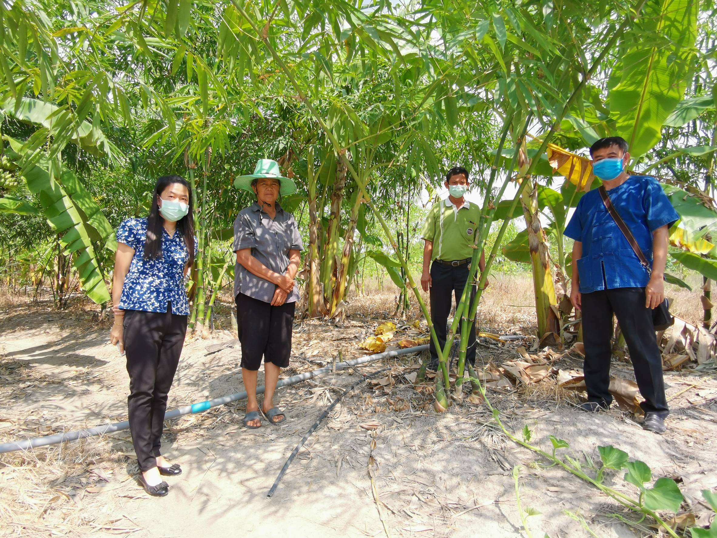 พช.ระยอง สำรวจ ติดตาม เยี่ยมเยือนกลุ่มแปรรูป/เกษตร เพื่อคัดเลือกเข้าร่วมโครงการสร้างรายได้จากกิจการอาหารปลอดภัย