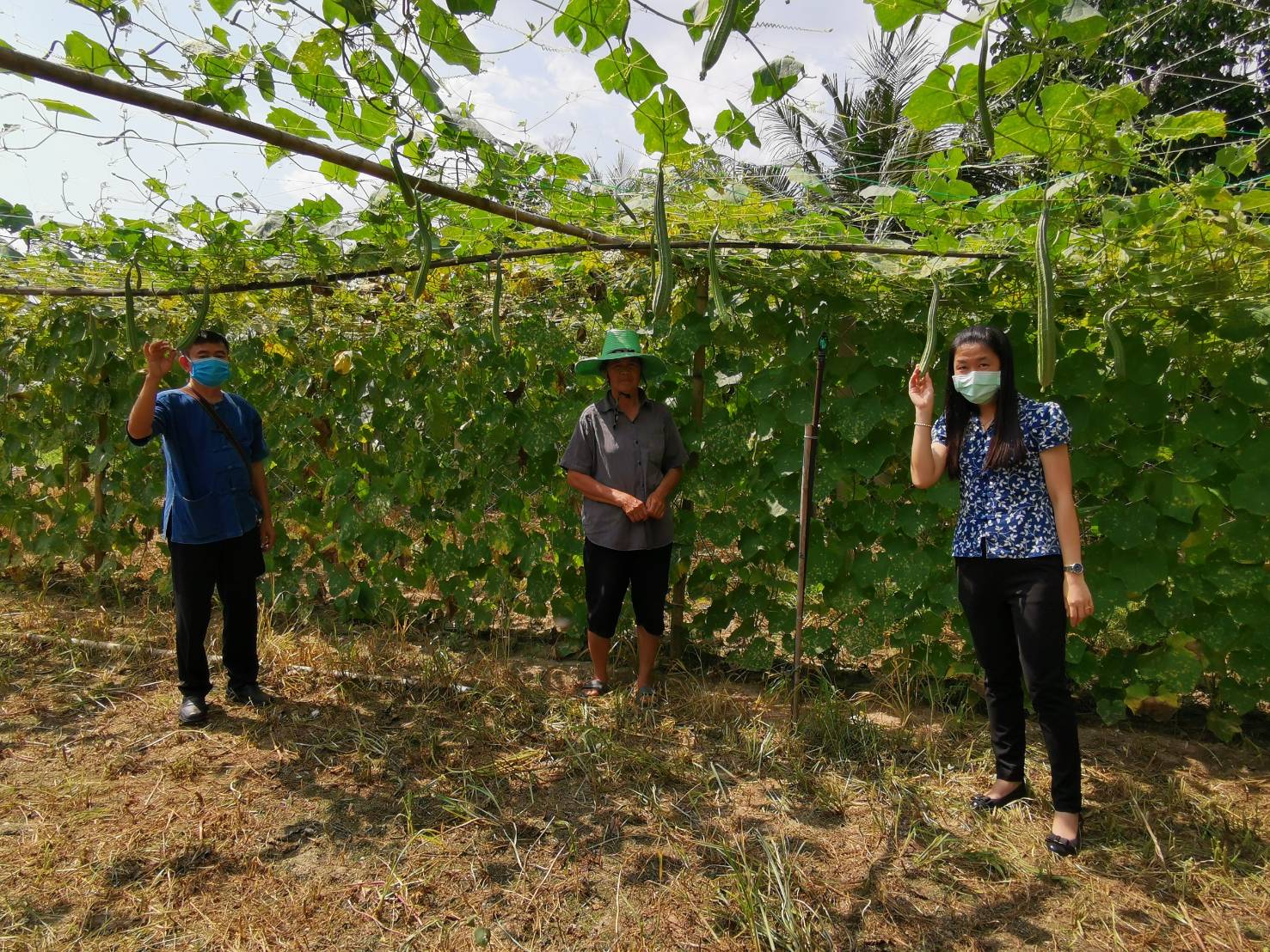 พช.ระยอง สำรวจ ติดตาม เยี่ยมเยือนกลุ่มแปรรูป/เกษตร เพื่อคัดเลือกเข้าร่วมโครงการสร้างรายได้จากกิจการอาหารปลอดภัย
