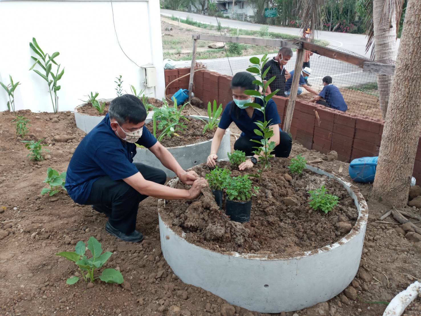 “พช.ระยอง จับมือหน่วยงานภาคี ผู้นำท้องที่ ผู้นำท้องถิ่น ร่วมใจกันปลูกผักสวนครัวบ้านพักนายอำเภอวังจันทร์…ในกิจกรรมผู้นำต้องทำก่อน…ตามโครงการ ปลูกผักสวนครัว สร้างความมั่นคงทางอาหาร”
