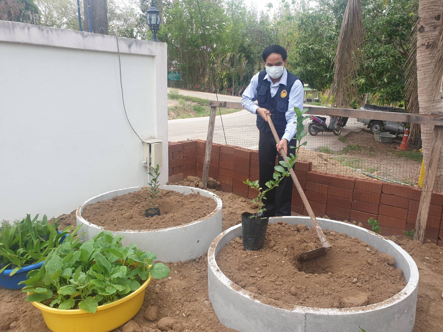 “พช.ระยอง จับมือหน่วยงานภาคี ผู้นำท้องที่ ผู้นำท้องถิ่น ร่วมใจกันปลูกผักสวนครัวบ้านพักนายอำเภอวังจันทร์…ในกิจกรรมผู้นำต้องทำก่อน…ตามโครงการ ปลูกผักสวนครัว สร้างความมั่นคงทางอาหาร”