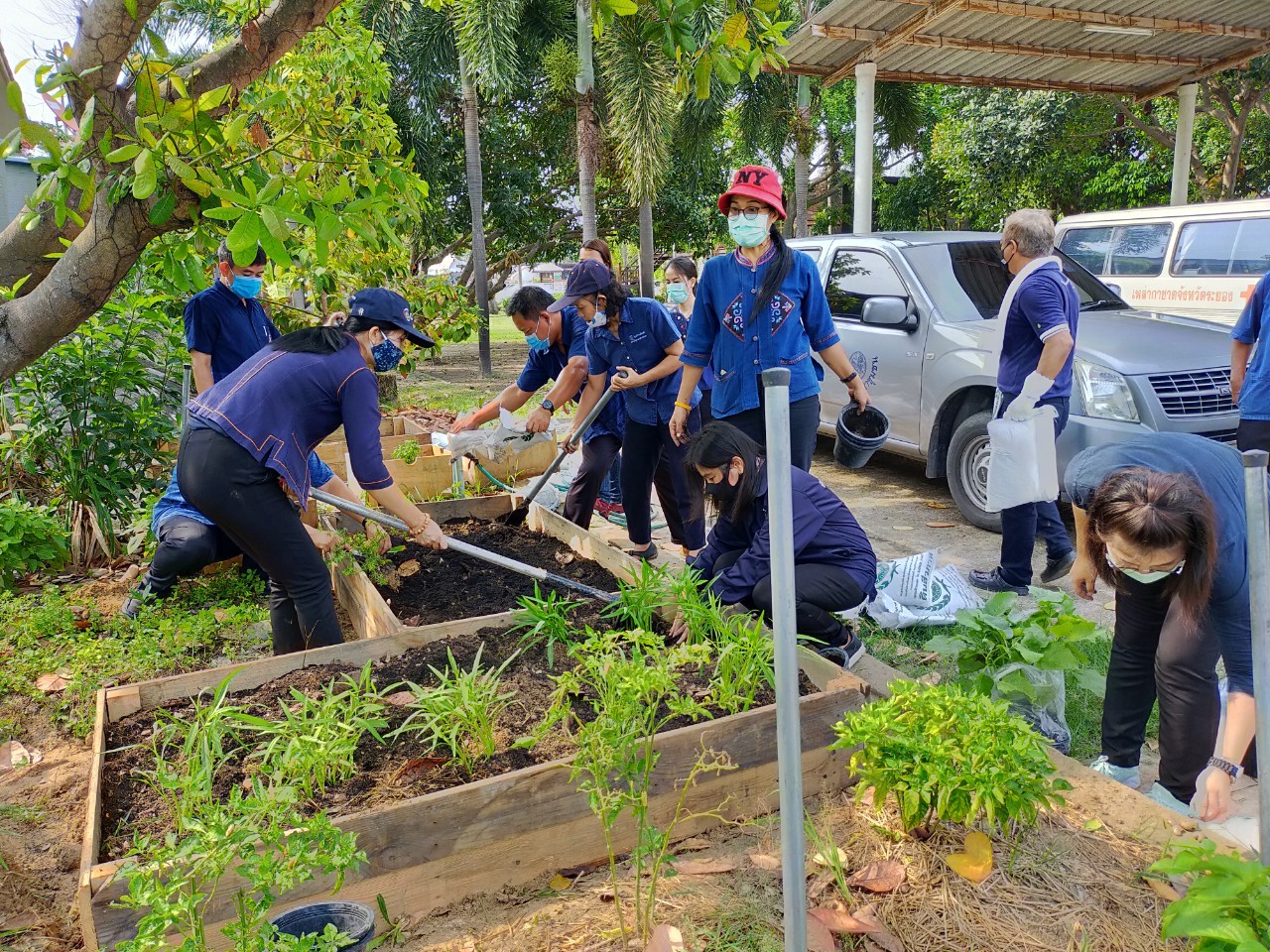 “จังหวัดระยอง Kick off ปฏิบัติการ “ปลูกผักสวนครัว เพื่อความมั่นคงทางอาหาร” สู้ภัยทุกวิกฤต …พอเพียงตามรอยพ่อ”