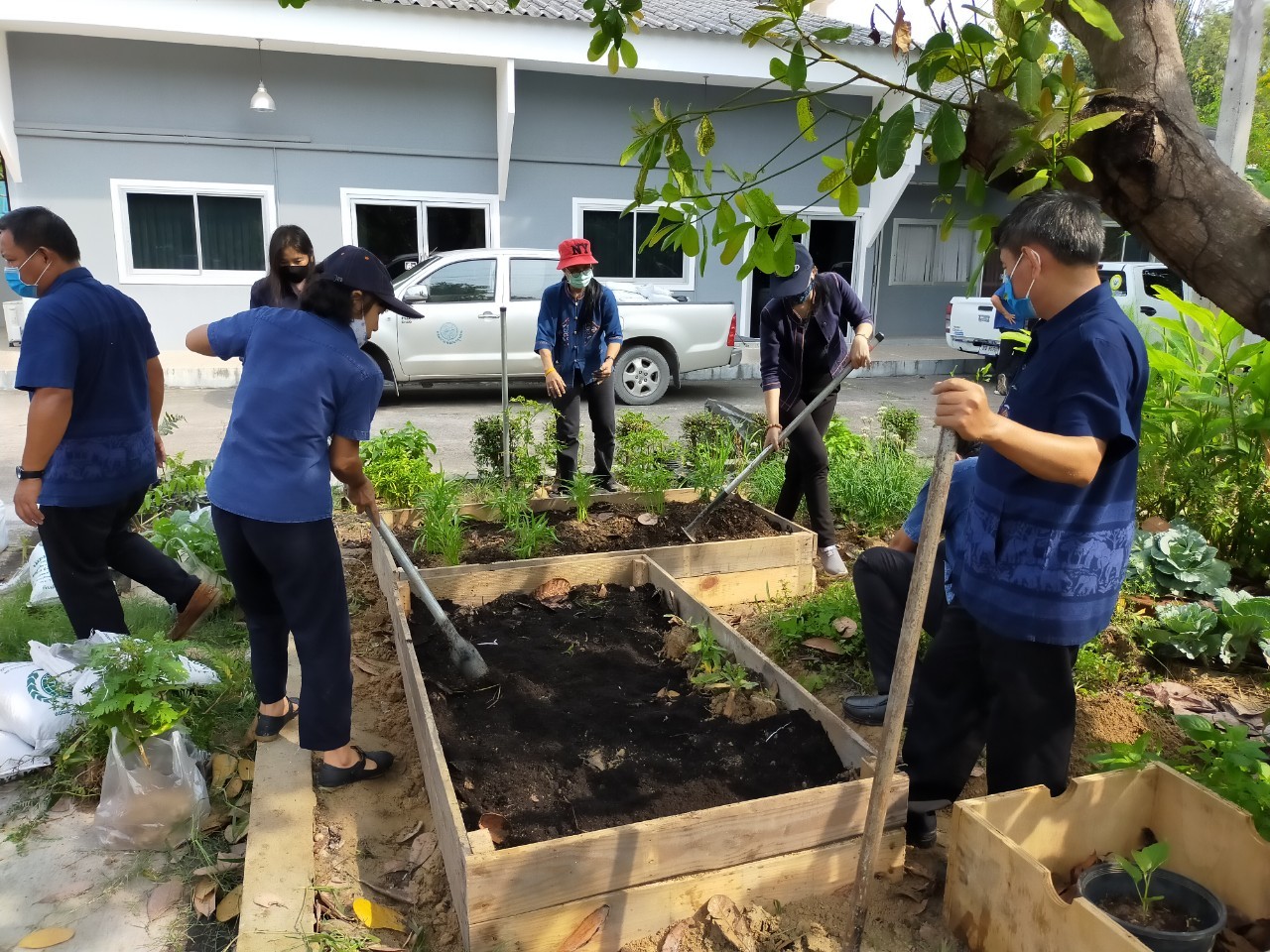 “จังหวัดระยอง Kick off ปฏิบัติการ “ปลูกผักสวนครัว เพื่อความมั่นคงทางอาหาร” สู้ภัยทุกวิกฤต …พอเพียงตามรอยพ่อ”
