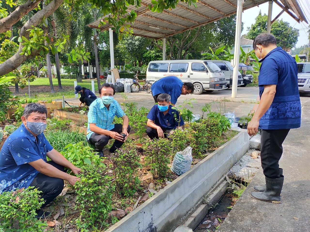 “จังหวัดระยอง Kick off ปฏิบัติการ “ปลูกผักสวนครัว เพื่อความมั่นคงทางอาหาร” สู้ภัยทุกวิกฤต …พอเพียงตามรอยพ่อ”