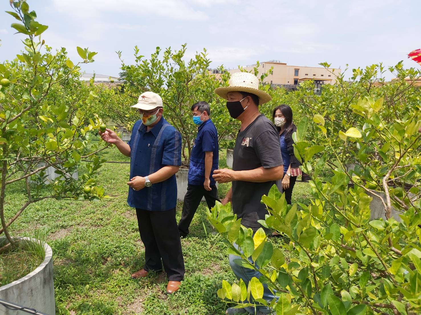 ??”พัฒนาการจังหวัดระยอง นำทีมลุยเตรียมความพร้อมกลุ่มแปรรูป/เกษตรเพื่อคัดเลือกเข้าร่วมโครงการสร้างรายได้จากกิจการอาหารปลอดภัย​ ?❤️?