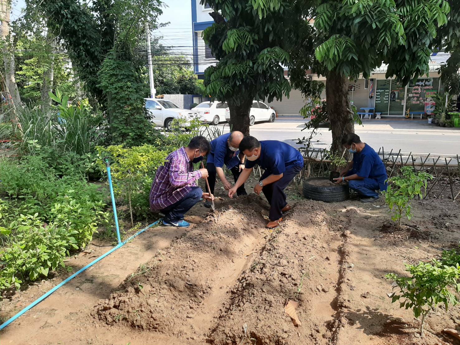 อำเภอปลวกแดง ช่วยกันเอามื้อลงมือเอาแรง ปลูกผักสวนครัว เพื่อสร้างความมั่นคงทางอาหาร บริเวณที่ว่าการอำเภอปลวกแดง