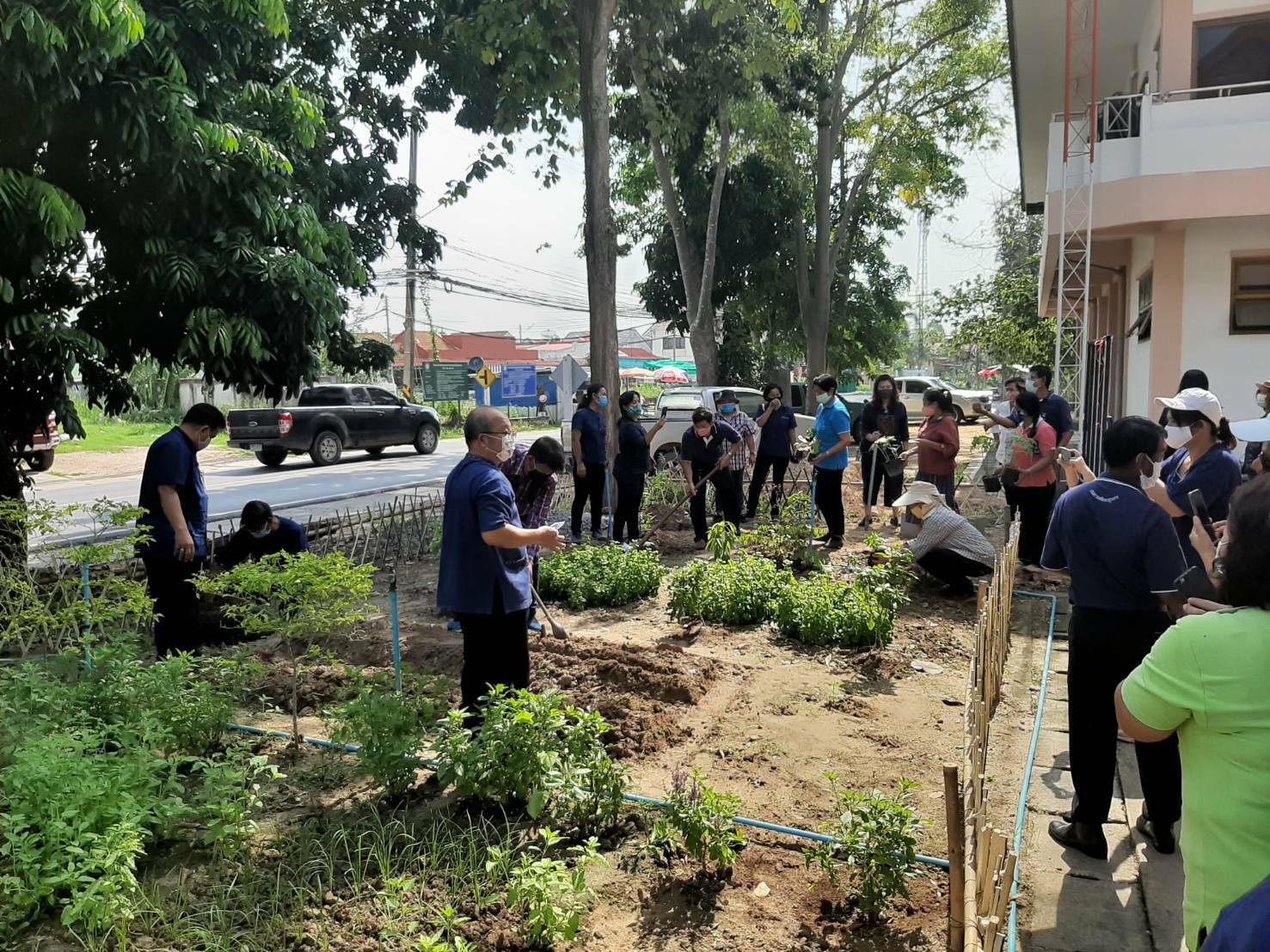 อำเภอปลวกแดง ช่วยกันเอามื้อลงมือเอาแรง ปลูกผักสวนครัว เพื่อสร้างความมั่นคงทางอาหาร บริเวณที่ว่าการอำเภอปลวกแดง