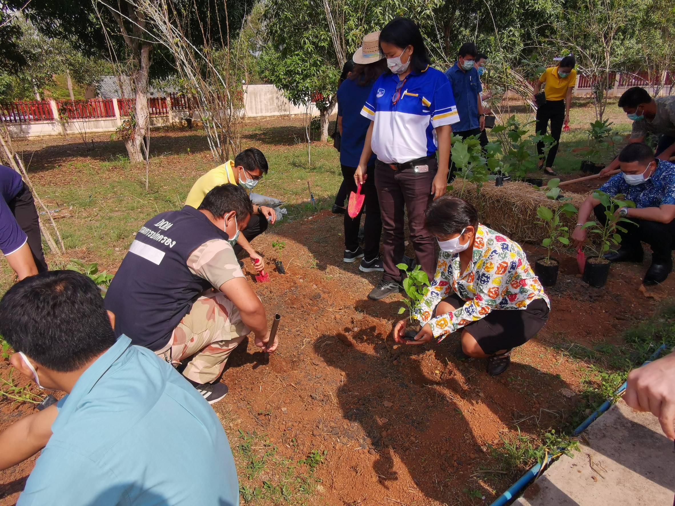 “พช.ระยอง จับมือหน่วยงานภาคี ผู้นำท้องที่ ผู้นำท้องถิ่น ร่วมใจกันปลูกผักสวนครัวบ้านพักนายอำเภอเขาชะเมา…ในกิจกรรมผู้นำต้องทำก่อน…ตามโครงการ ปลูกผักสวนครัว สร้างความมั่นคงทางอาหาร”