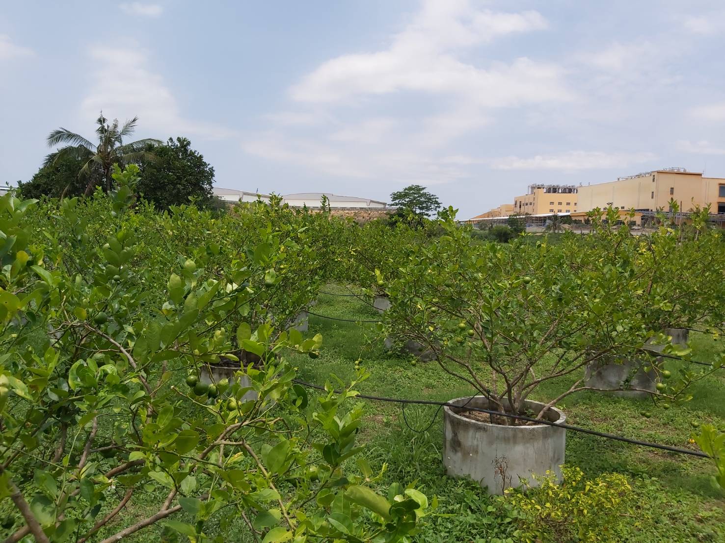 ??”พัฒนาการจังหวัดระยอง นำทีมลุยเตรียมความพร้อมกลุ่มแปรรูป/เกษตรเพื่อคัดเลือกเข้าร่วมโครงการสร้างรายได้จากกิจการอาหารปลอดภัย​ ?❤️?