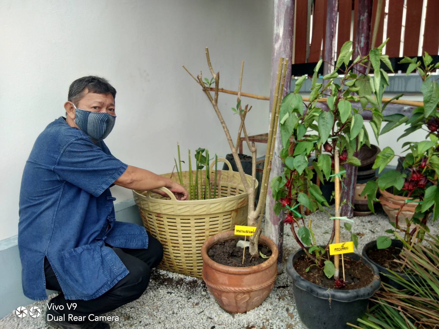 “พช.ระยอง จับมือหน่วยงานภาคี ผู้นำท้องที่ ผู้นำท้องถิ่น ร่วมใจกันปลูกผักสวนครัวบ้านพักนายอำเภอเมืองระยอง…ในกิจกรรมผู้นำต้องทำก่อน…ตามโครงการ ปลูกผักสวนครัว สร้างความมั่นคงทางอาหาร”