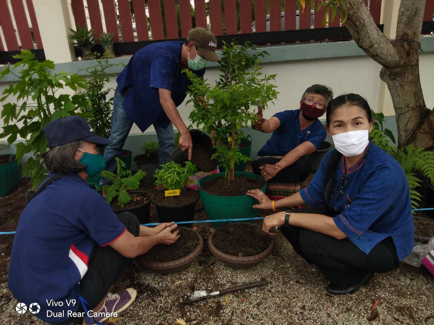 “พช.ระยอง จับมือหน่วยงานภาคี ผู้นำท้องที่ ผู้นำท้องถิ่น ร่วมใจกันปลูกผักสวนครัวบ้านพักนายอำเภอเมืองระยอง…ในกิจกรรมผู้นำต้องทำก่อน…ตามโครงการ ปลูกผักสวนครัว สร้างความมั่นคงทางอาหาร”