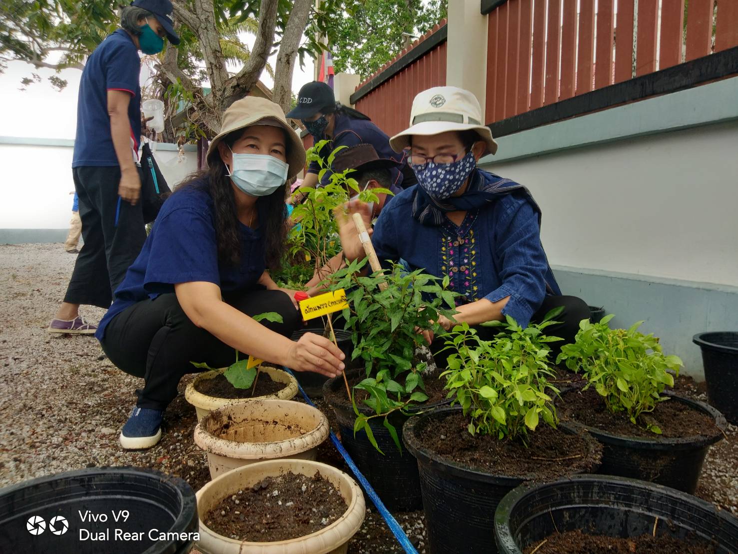 “พช.ระยอง จับมือหน่วยงานภาคี ผู้นำท้องที่ ผู้นำท้องถิ่น ร่วมใจกันปลูกผักสวนครัวบ้านพักนายอำเภอเมืองระยอง…ในกิจกรรมผู้นำต้องทำก่อน…ตามโครงการ ปลูกผักสวนครัว สร้างความมั่นคงทางอาหาร”