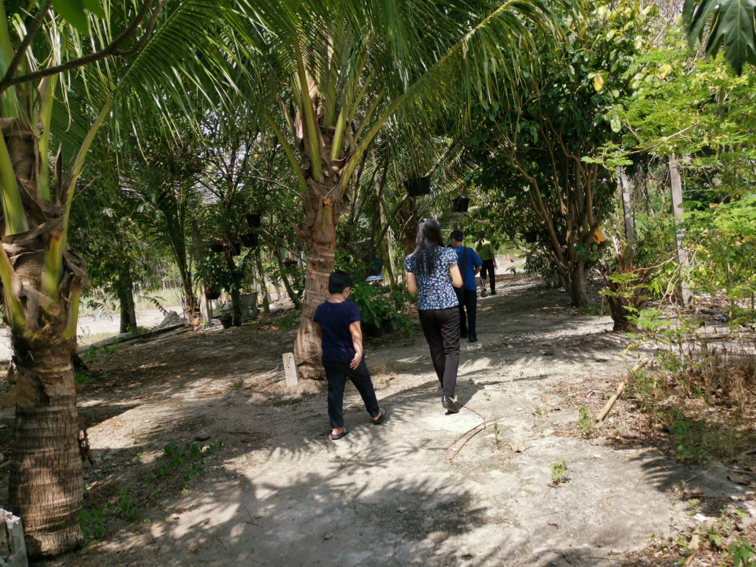 พช.ระยอง สำรวจ ติดตาม เยี่ยมเยือนกลุ่มแปรรูป/เกษตร เพื่อคัดเลือกเข้าร่วมโครงการสร้างรายได้จากกิจการอาหารปลอดภัย