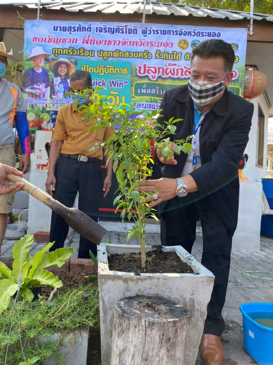 พช.ระยอง ช่วยกันเอามื้อลงมือเอาแรง ปลูกผักสวนครัว เพื่อสร้างความมั่นคงทางอาหาร บริเวณบ้านพักท่านนายอำเภอบ้านค่าย