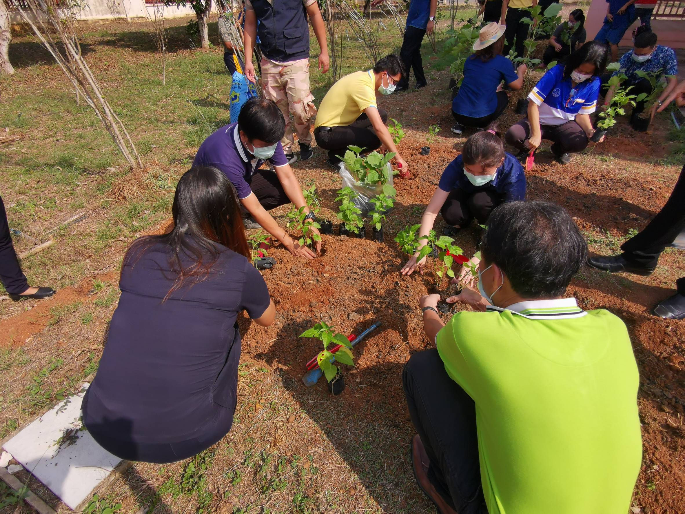 “พช.ระยอง จับมือหน่วยงานภาคี ผู้นำท้องที่ ผู้นำท้องถิ่น ร่วมใจกันปลูกผักสวนครัวบ้านพักนายอำเภอเขาชะเมา…ในกิจกรรมผู้นำต้องทำก่อน…ตามโครงการ ปลูกผักสวนครัว สร้างความมั่นคงทางอาหาร”