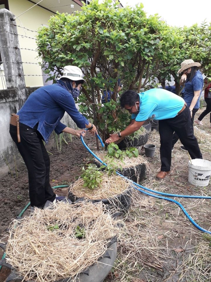 “จังหวัดระยอง Kick off ปฏิบัติการ “เปิดบ้านรองผู้ว่าฯ ชวนกันเอามื้อ ปลูกผักสวนครัว” ตามแผนปฏิบัติการ 90 วัน ปลูกผักสวนครัว เพื่อความมั่นคงทางอาหาร สู้ภัยทุกวิกฤต …พอเพียงตามรอยพ่อ”