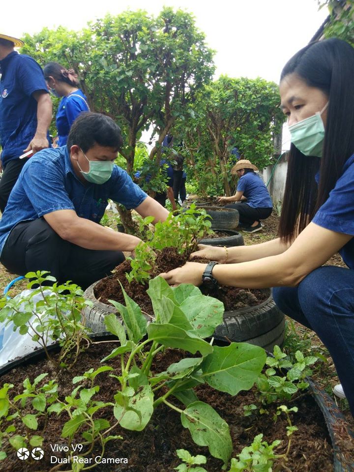 “จังหวัดระยอง Kick off ปฏิบัติการ “เปิดบ้านรองผู้ว่าฯ ชวนกันเอามื้อ ปลูกผักสวนครัว” ตามแผนปฏิบัติการ 90 วัน ปลูกผักสวนครัว เพื่อความมั่นคงทางอาหาร สู้ภัยทุกวิกฤต …พอเพียงตามรอยพ่อ”
