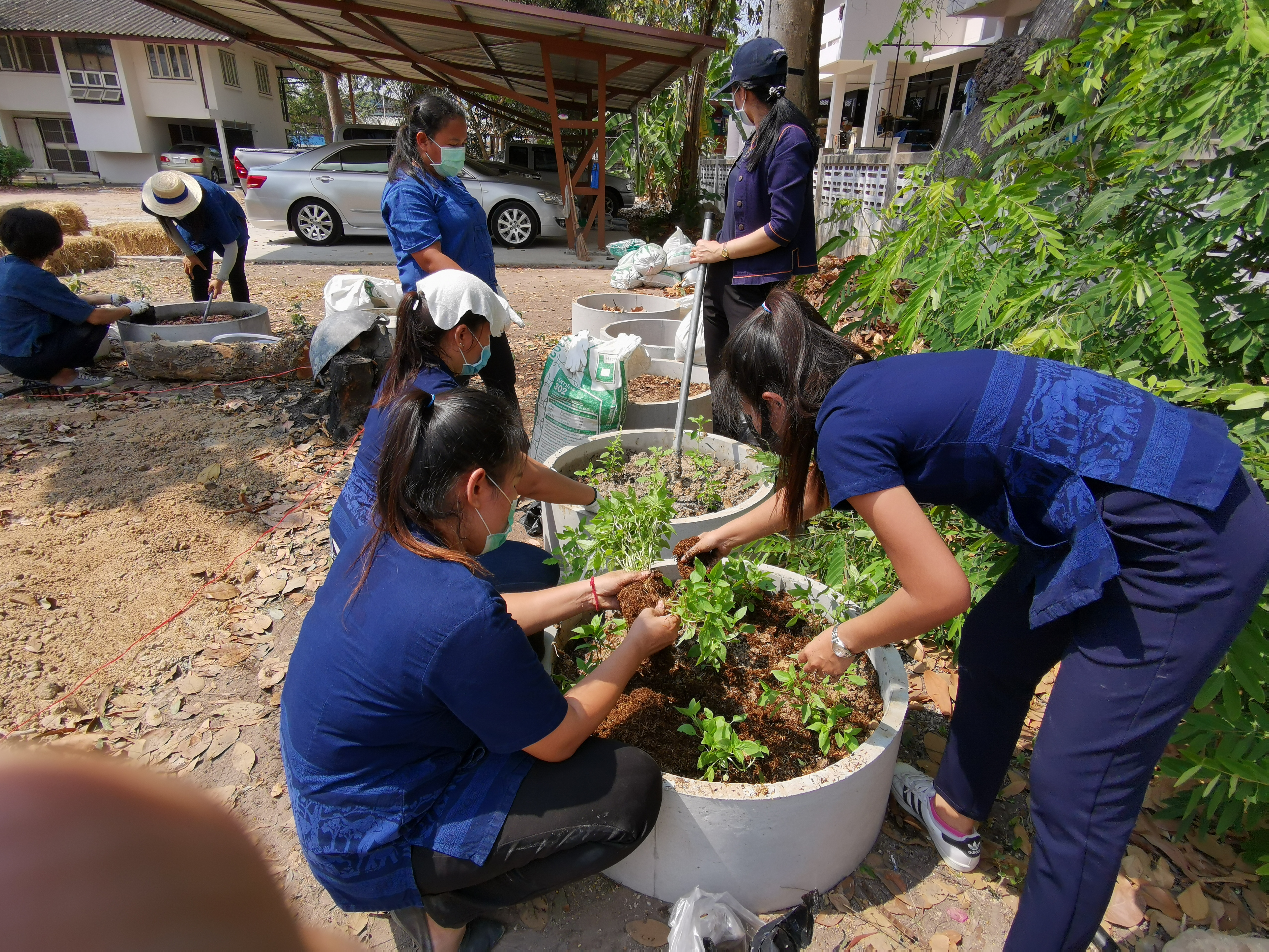 พช.ระยอง เปิดปฏิบัติการเอามื้อ บ้านนี้มีรัก ปลูกผักกินเอง