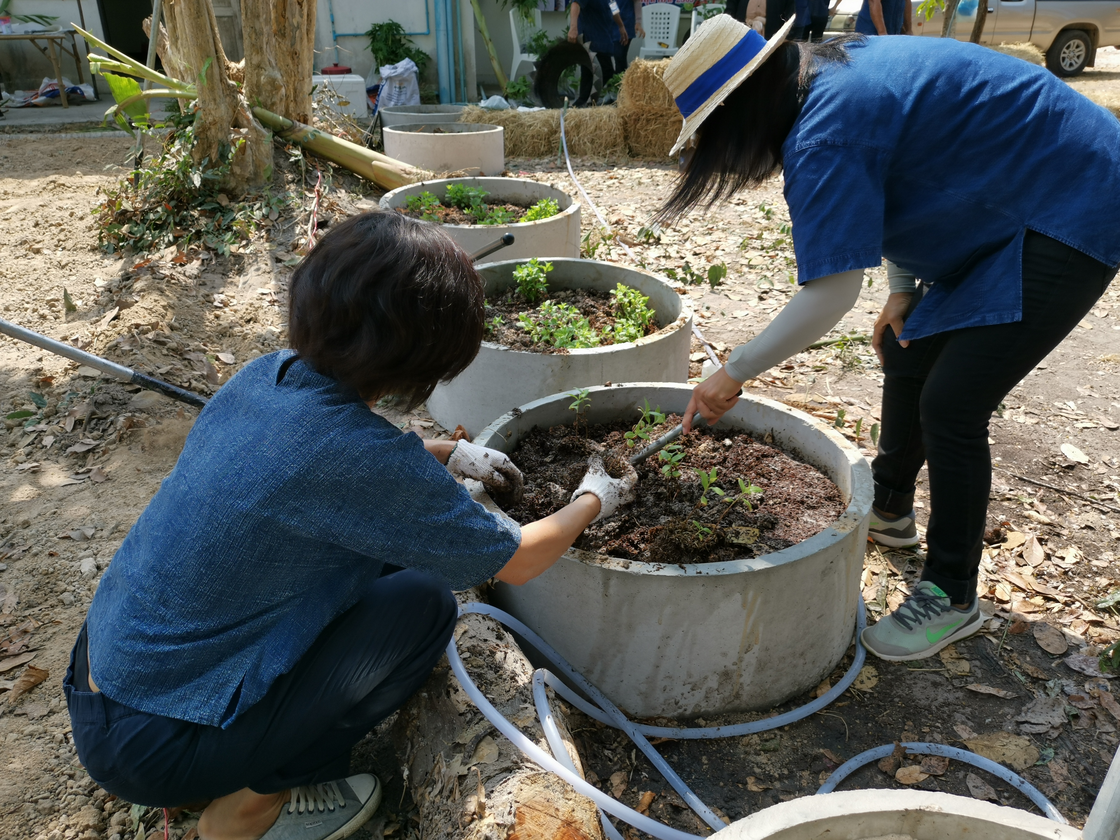 พช.ระยอง เปิดปฏิบัติการเอามื้อ บ้านนี้มีรัก ปลูกผักกินเอง