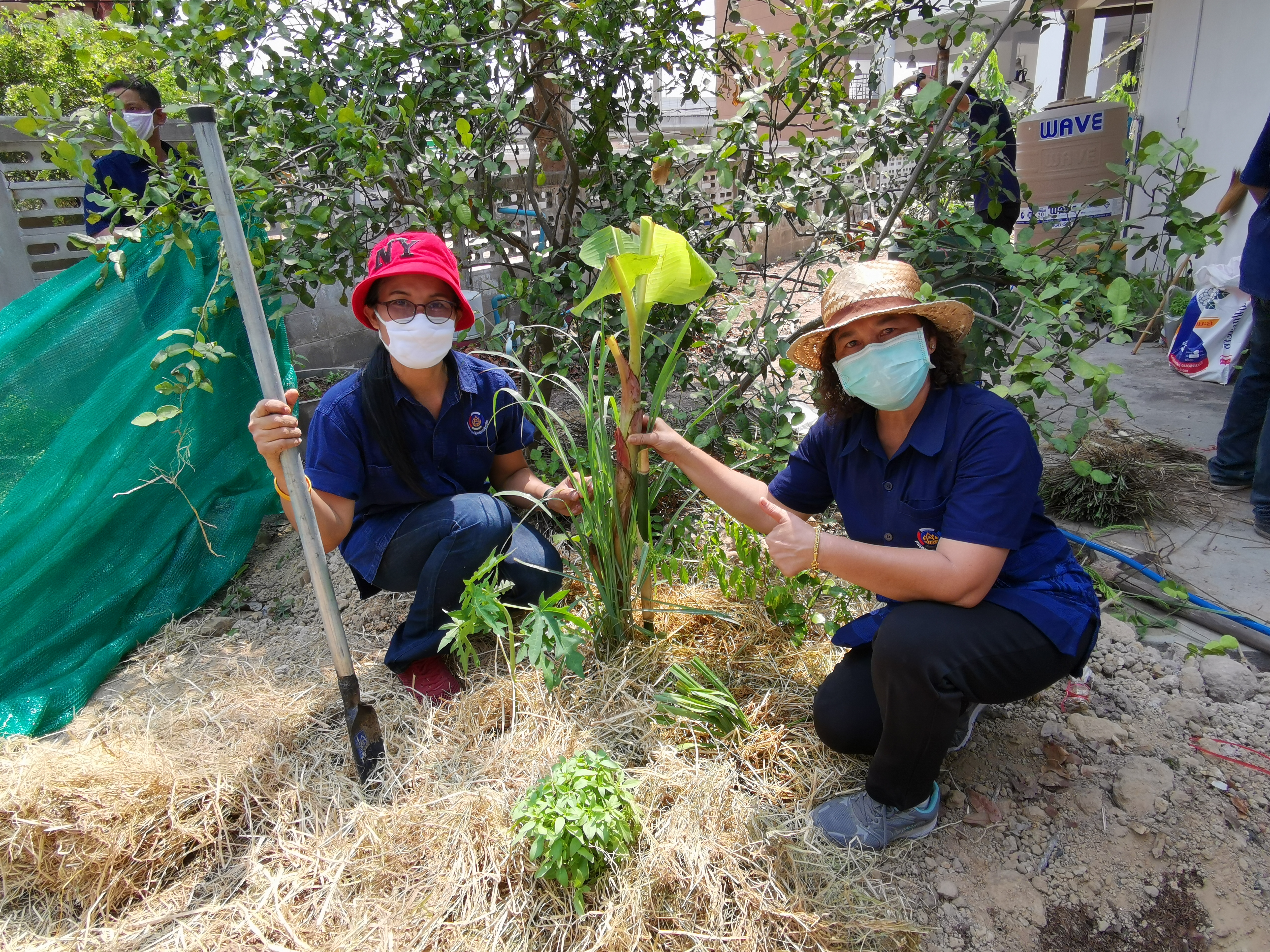 พช.ระยอง เปิดปฏิบัติการเอามื้อ บ้านนี้มีรัก ปลูกผักกินเอง