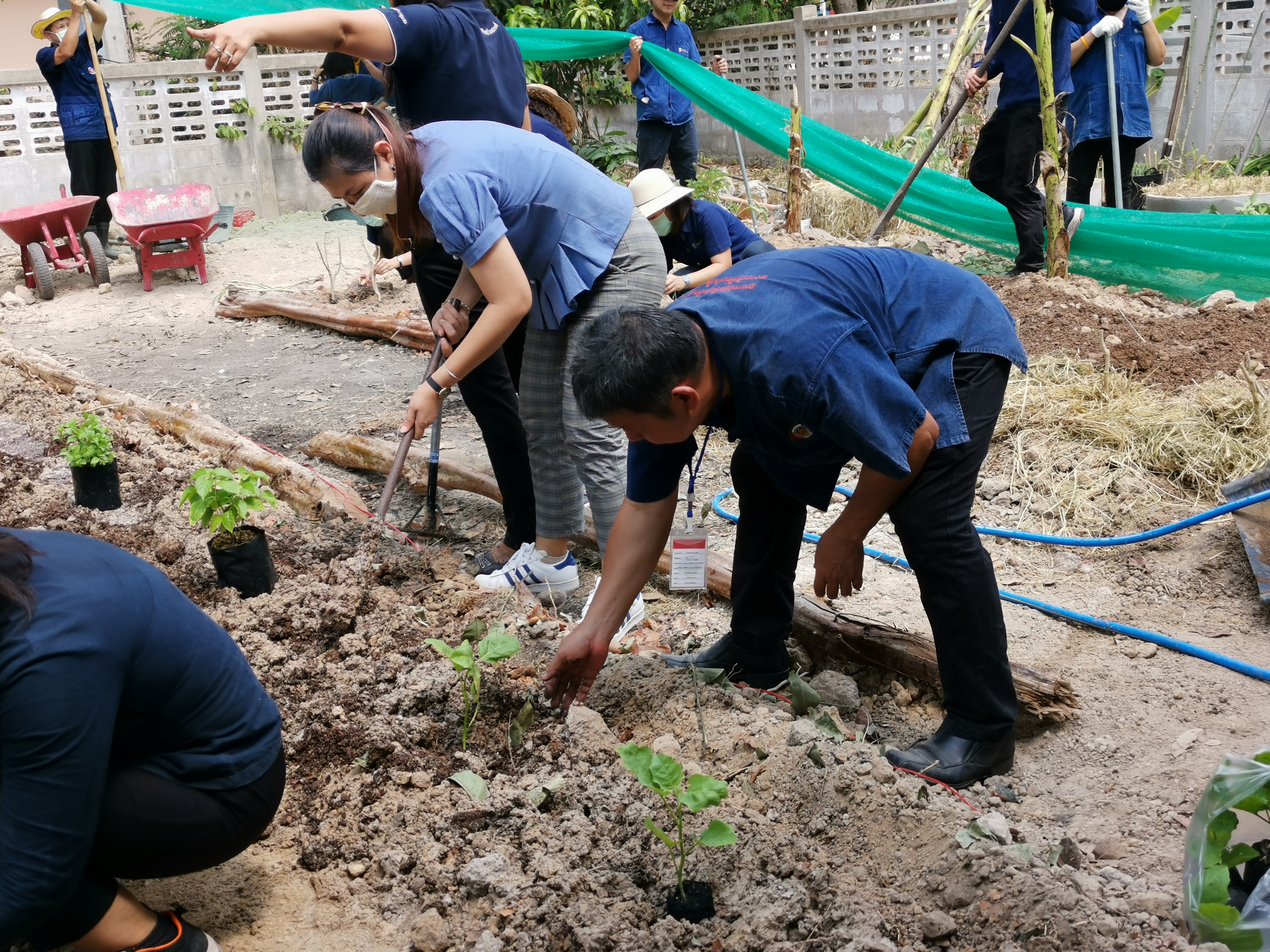 พช.ระยอง เปิดปฏิบัติการเอามื้อ บ้านนี้มีรัก ปลูกผักกินเอง