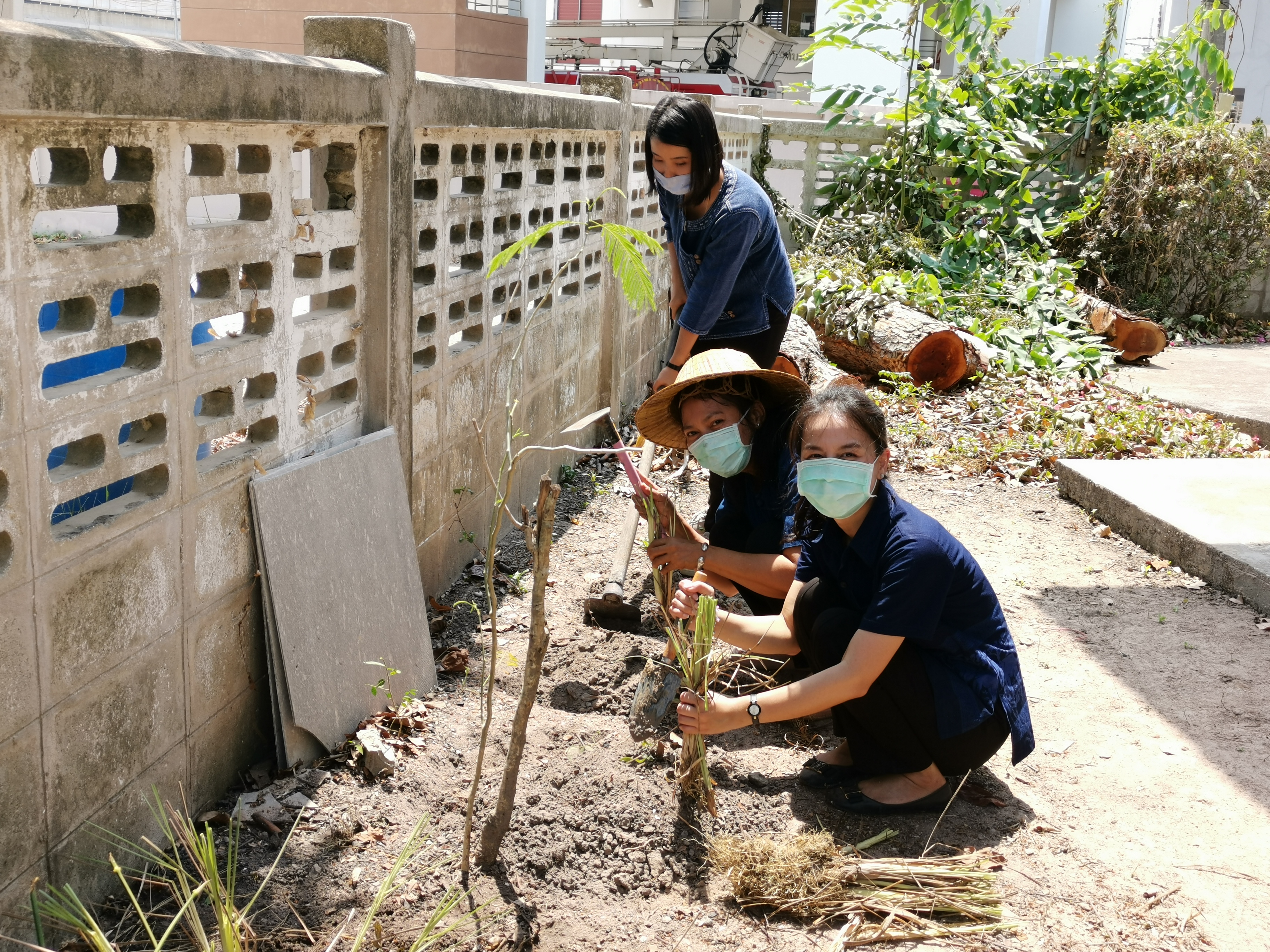 พช.ระยอง เปิดปฏิบัติการเอามื้อ บ้านนี้มีรัก ปลูกผักกินเอง