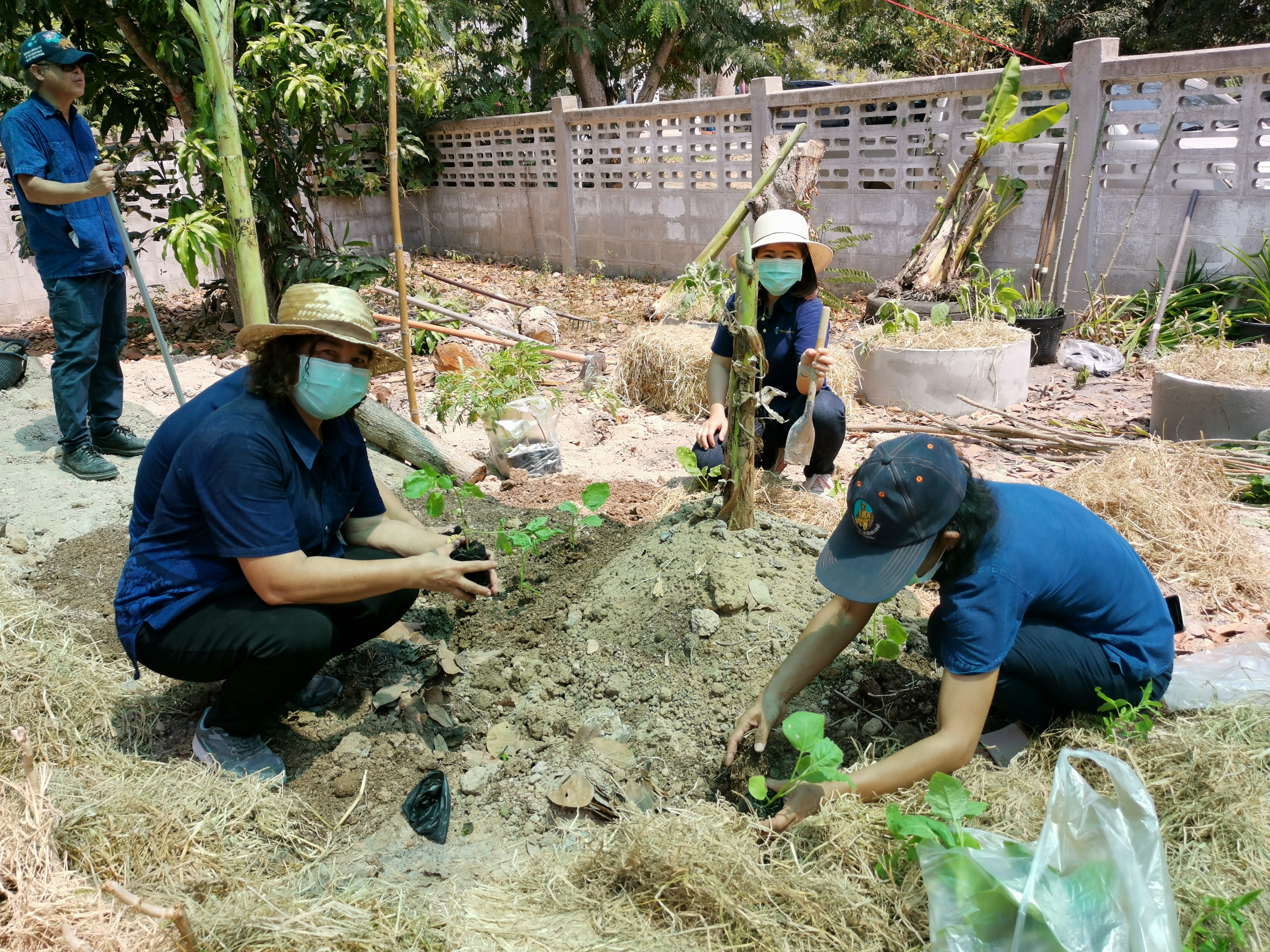 พช.ระยอง เปิดปฏิบัติการเอามื้อ บ้านนี้มีรัก ปลูกผักกินเอง