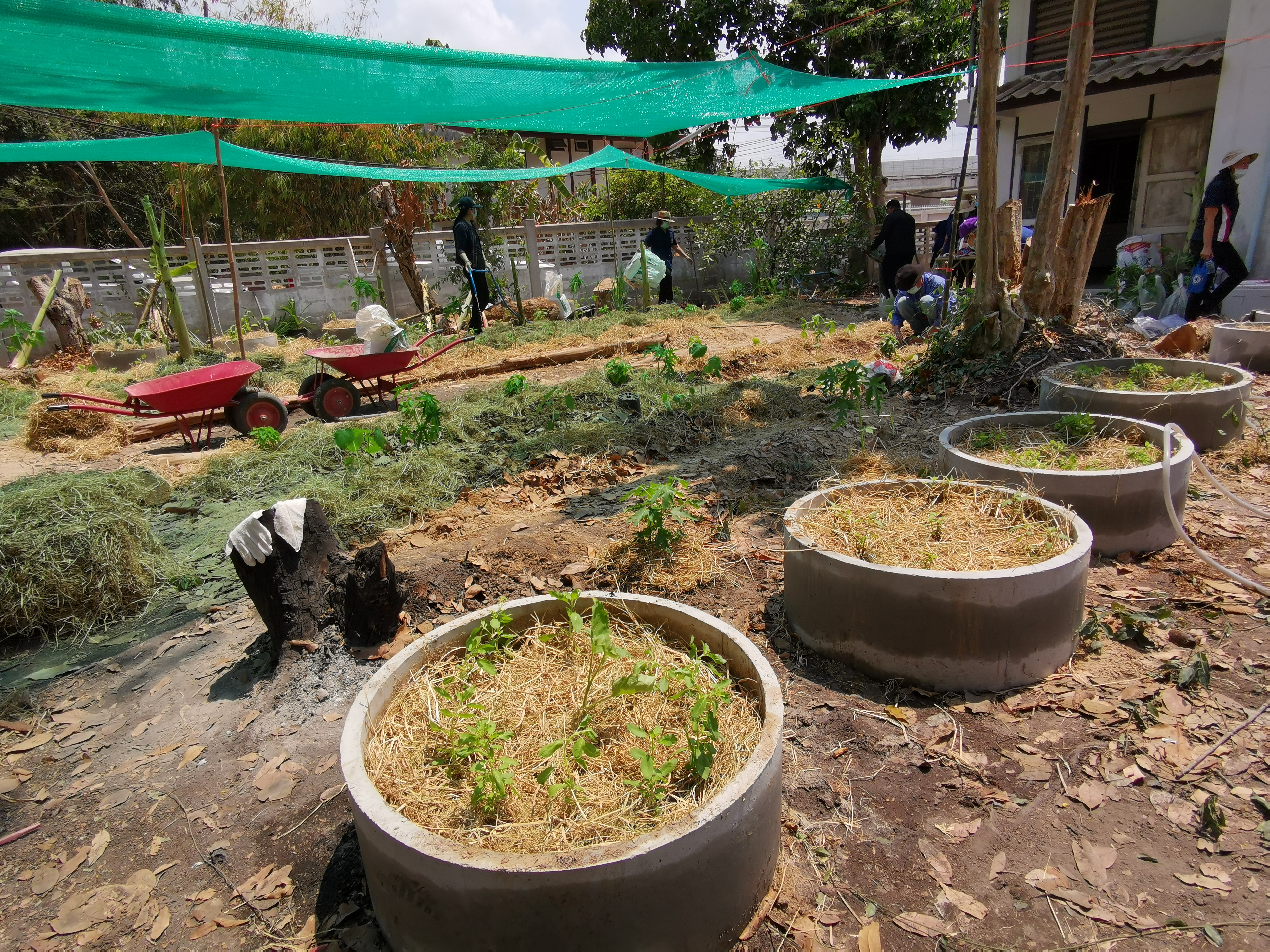 พช.ระยอง เปิดปฏิบัติการเอามื้อ บ้านนี้มีรัก ปลูกผักกินเอง