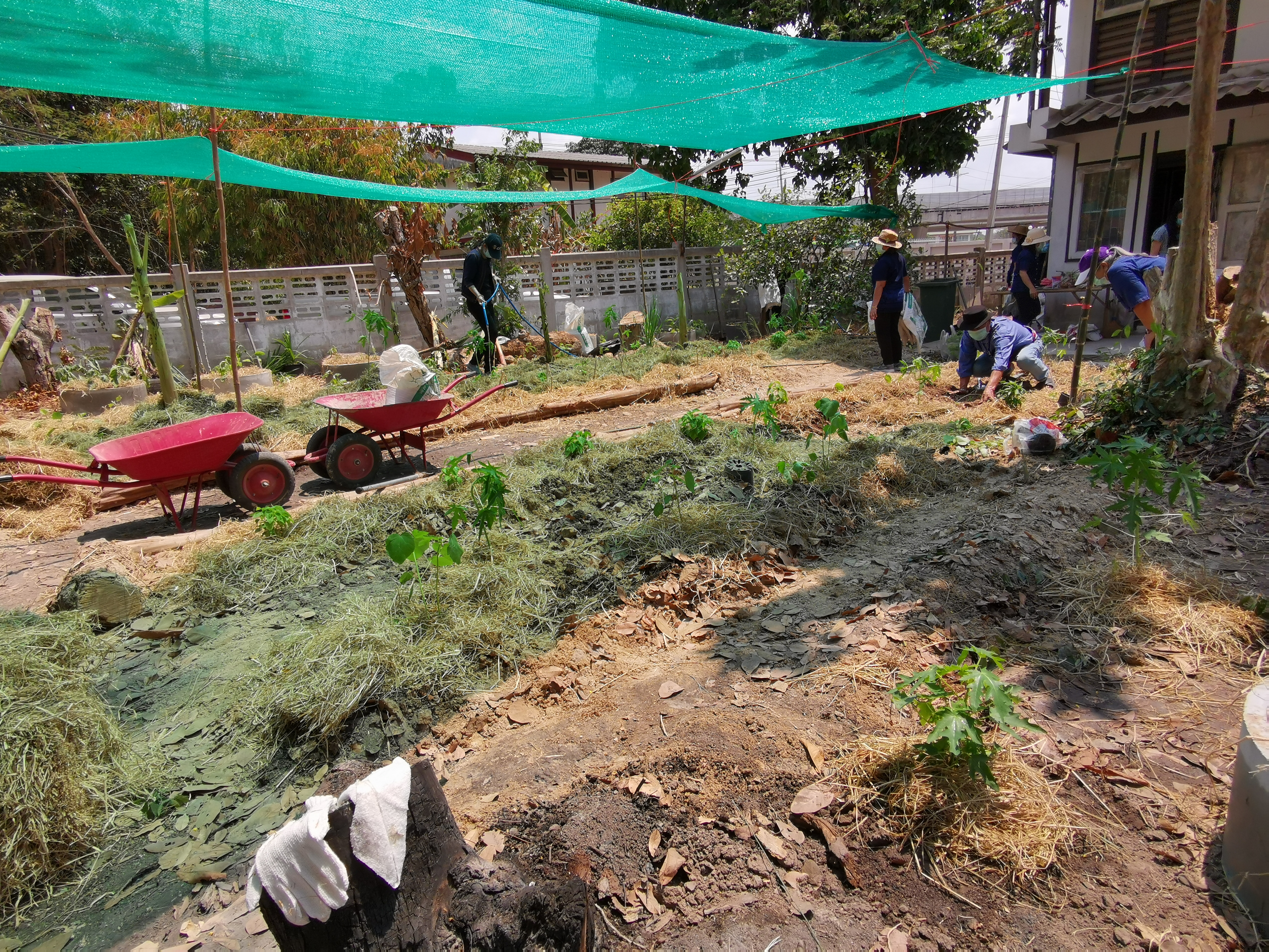 พช.ระยอง เปิดปฏิบัติการเอามื้อ บ้านนี้มีรัก ปลูกผักกินเอง