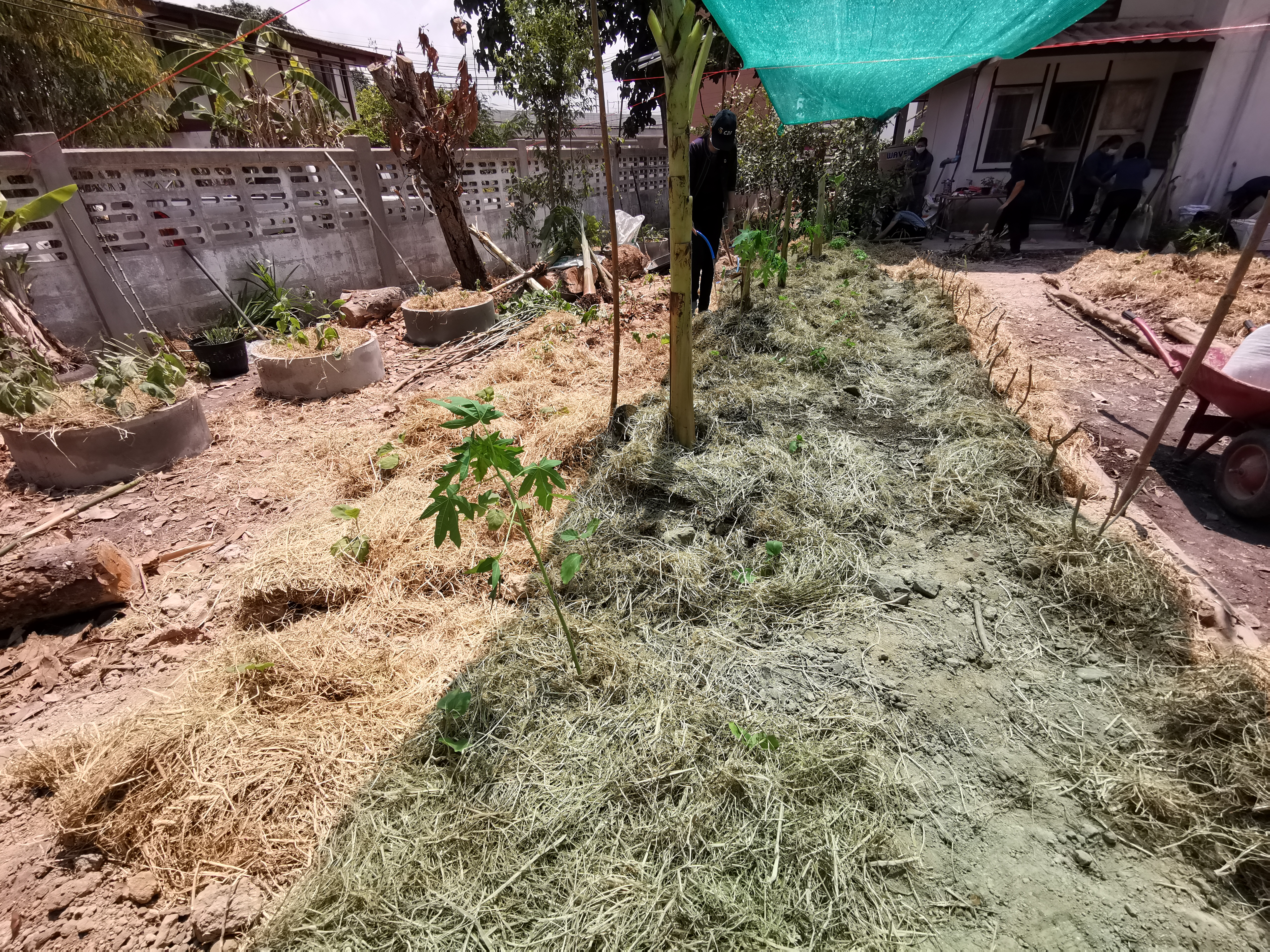 พช.ระยอง เปิดปฏิบัติการเอามื้อ บ้านนี้มีรัก ปลูกผักกินเอง